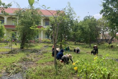 Trường Mầm non Họa Mi lao động, dọn dẹp vệ sinh trường lớp